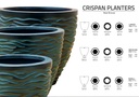 Real Bronze Crispan Planter