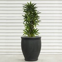 Real Bronze Finish Daisy Anduze Planter D68cm x H76cm