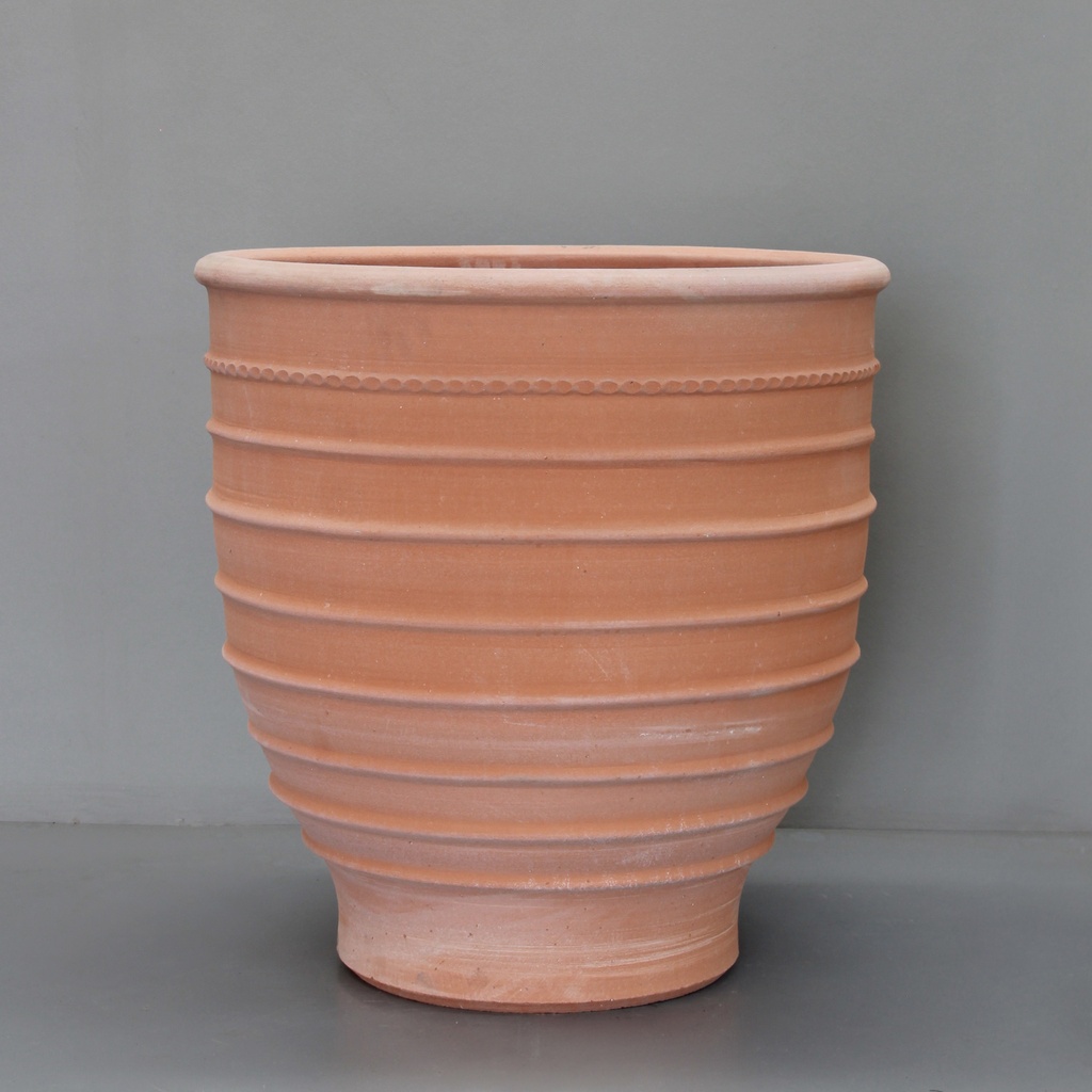 Exara Pot