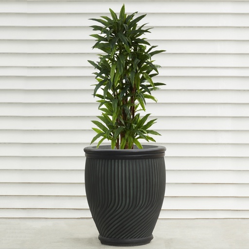 [PB2391RB] Real Bronze Finish Daisy Anduze Planter D68cm x H76cm