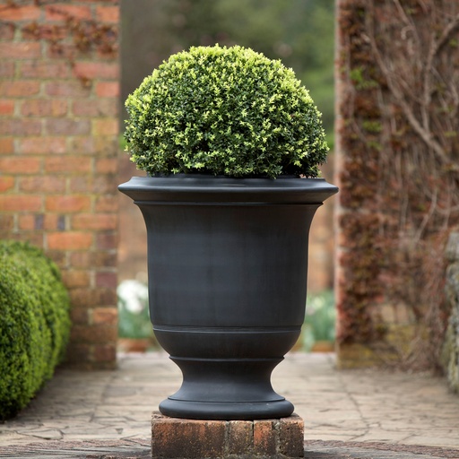 Real Bronze Finish Plain Anduze Style Urn